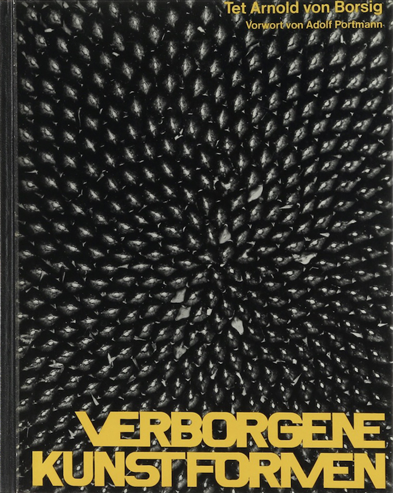 Borsig, Verborgene Kunstformen.